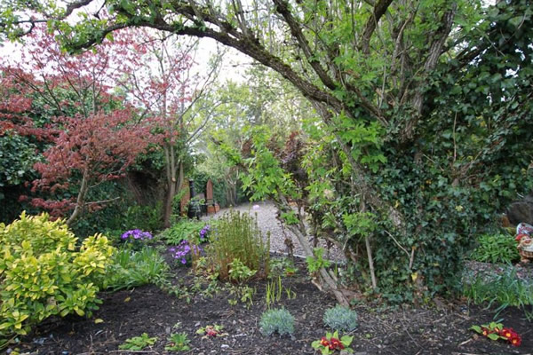 Garden rejuvenation - landscape gardener in Aberdeenshire
